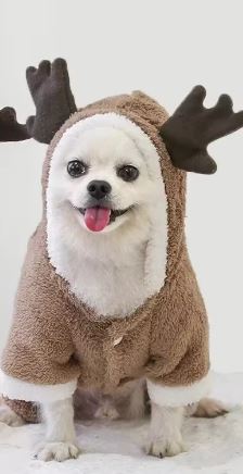 SUETER DE RENO CUATRO PATAS