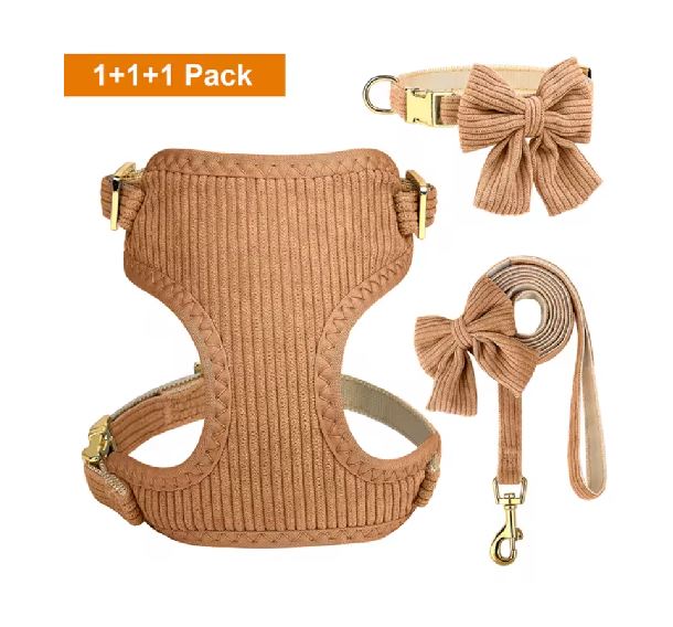 SET PECHERA CON COLLAR, MOÑO Y CORREA COLOR CAFE