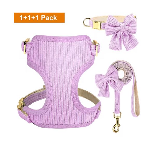 SET PECHERA CON COLLAR, MOÑO Y CORREA COLOR PURPURA