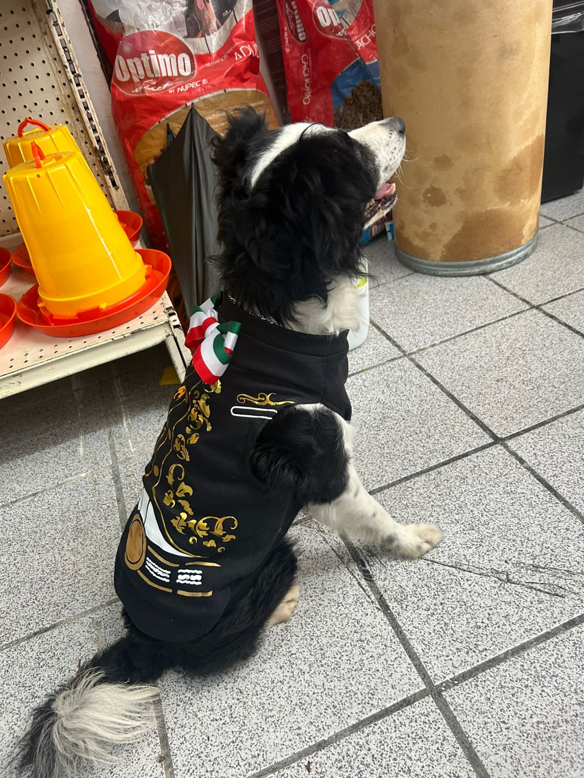 PLAYERA DE CHARRO PARA PERRO