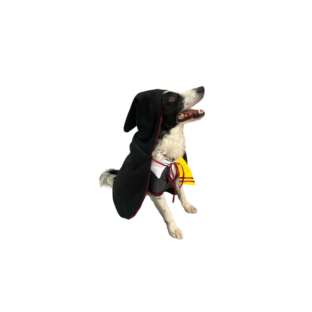 DISFRAZ DE HARRY POTTER PARA PERRO