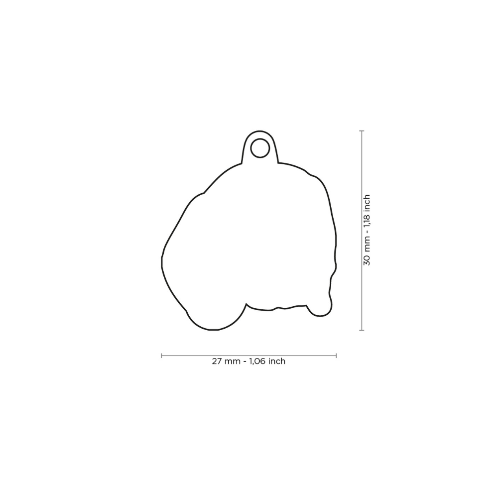 Placa Identificación Beagle