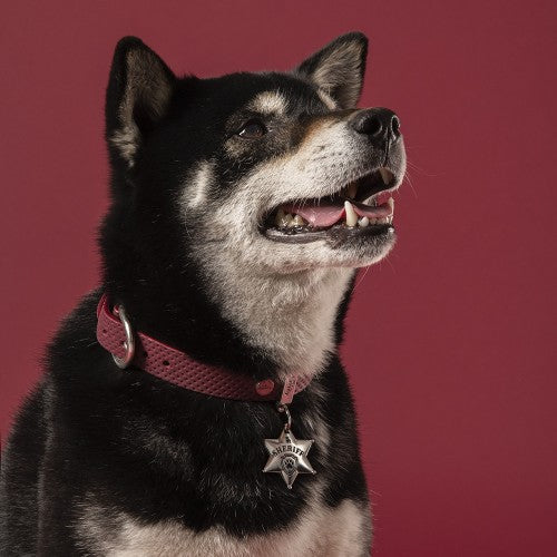 PLACA DE IDENTIFICACION BRONX ESTRELLA SHERIFF