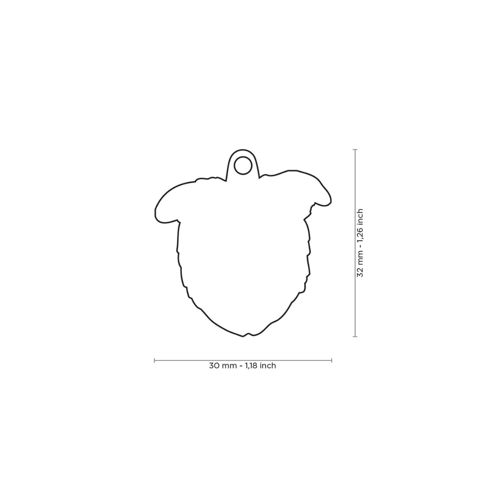 Placa de Identificación Border Collie