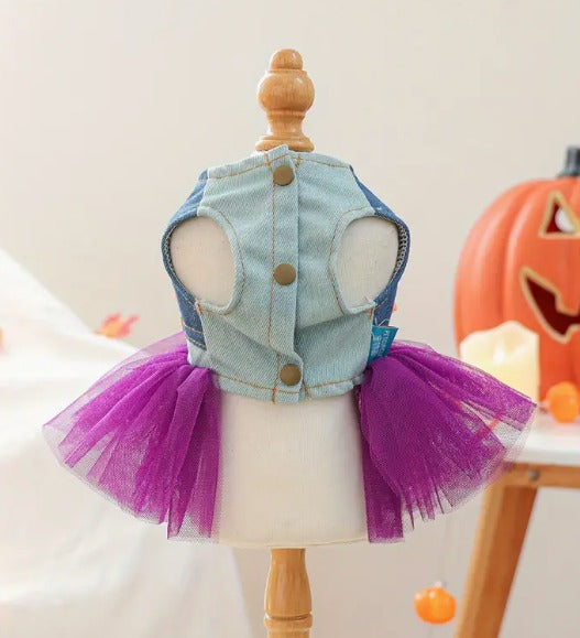 VESTIDO CON CHALECO DE CALABACITA PARA PERRO DE HALLOWEEN