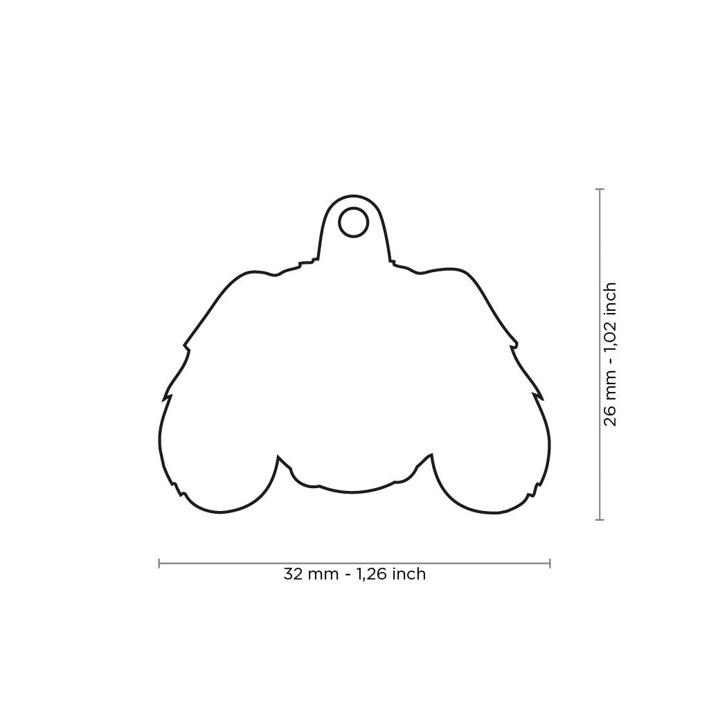 Placa de Identificación Cavalier King