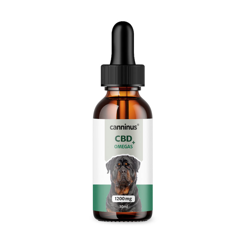 CBD + Omegas Perros Grandes 20-40 kg