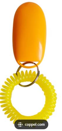 CLICKER ENTRENADOR CON PULSERA FANCY PETS