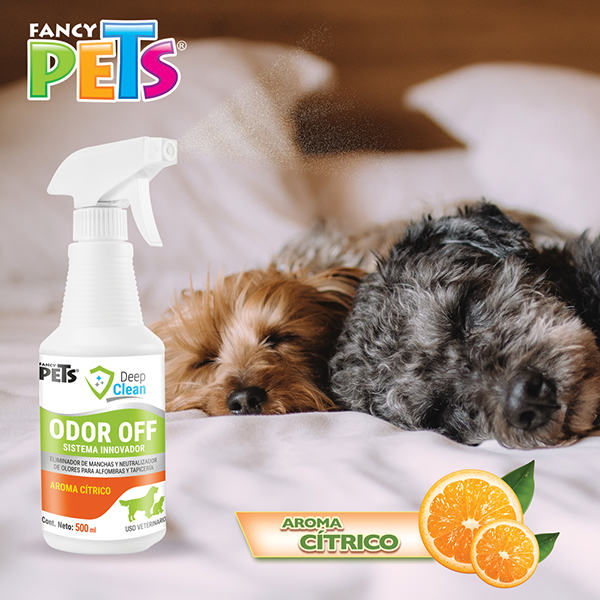 DEEP CLEAN ODOR OFF 500ML