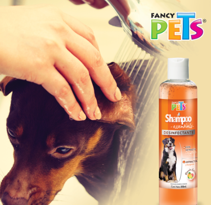 SHAMPOO DESINFECTANTE ESSENTIALS 250 ML