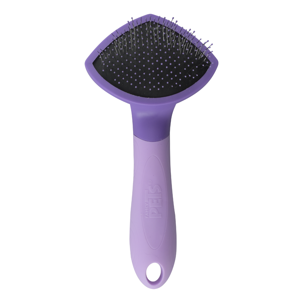 Carda para Gato Expert