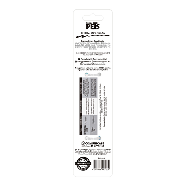 CORREA CH GLASS P/PERRO