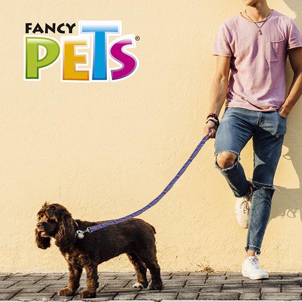 CORREA MEDIANA P/PERRO