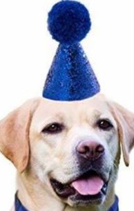 GORRO DE CUMPLEAÑOS PARA PERRO EN ROSA Y AZUL