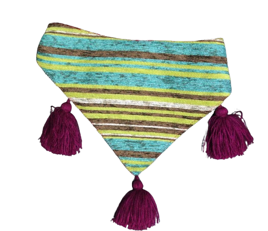 BANDANA PARA PERRO