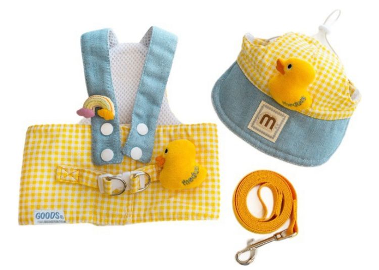 SET ARNES CON CORREA DE POLLITO