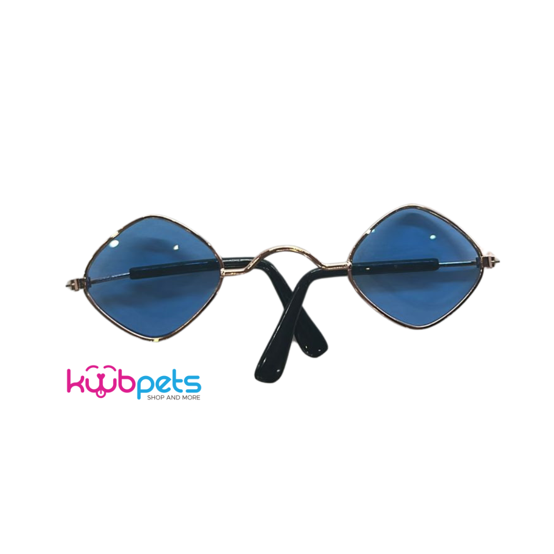 LENTES PARA PERRO O GATO