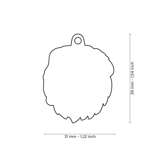 PLACA DE IDENTIFICACION SAN BERNARDO