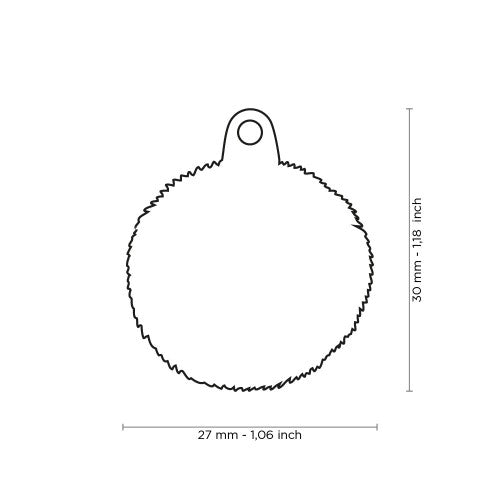 PLACA DE IDENTIFICACION BICHON FRISE