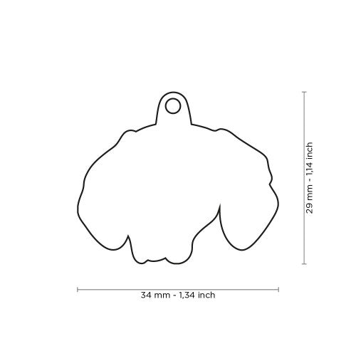 PLACA DE IDENTIFICACION VIZSLA