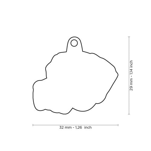 PLACA DE IDENTIFICACION POINTER INGLES