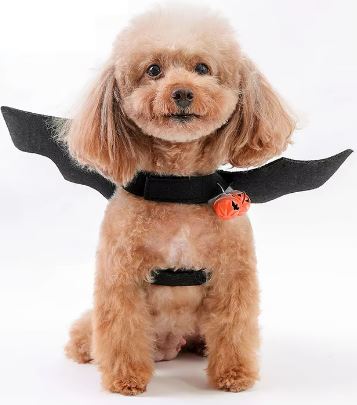 DISFRAZ ALAS DE MURCIELAGO PARA PERRO Y GATO CHICO