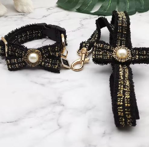 CONJUNTO DE CORREA Y COLLAR DE ENCAJE NEGRO