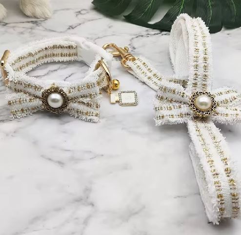 CONJUNTO DE CORREA Y COLLAR DE ENCAJE BLANCO