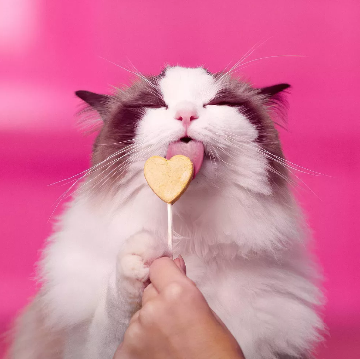 BONKERS PURR POPS  PALETAS PARA GATO SABOR POLLO PAQ CON 4 PIEZAS