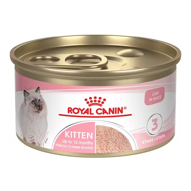 ROYAL CANIN KITTEN LATA/ALIMENTO HUMEDO