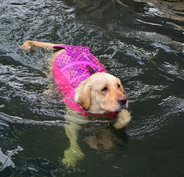 Copia de CHALECO SALVAVIDAS PARA PERRO CON DISEÑO DE SIRENA - ¡SEGURIDAD Y ESTILO EN EL AGUA!
