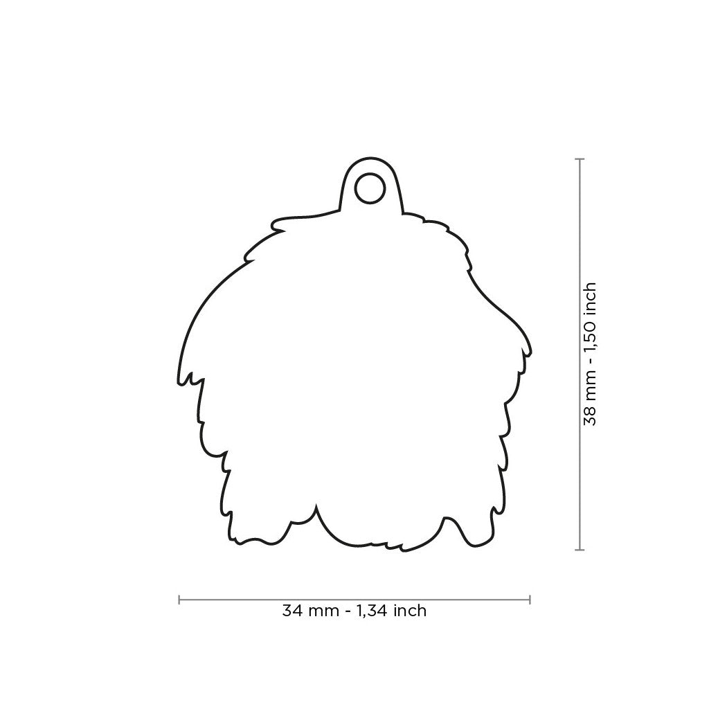 Placa Identificación Terranova