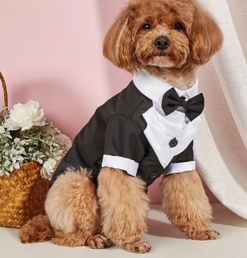 TRAJE DE BODA PARA MASCOTA CON MOÑO