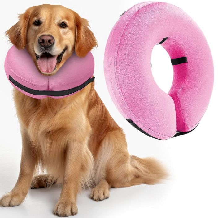 COLLAR ISABELINO INFLABLE