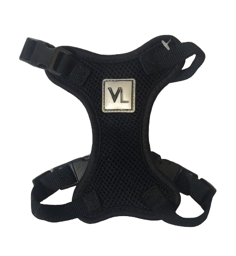 PECHERA VIBRANT LIFE