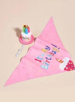 DECORACION FELIZ CUMPLEAÑOS GORRO PASTEL Y BANDANA