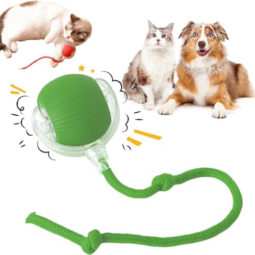 JUGUETE PARA PERRO PELOTA CON MOVIMIENTO COLOR VERDE