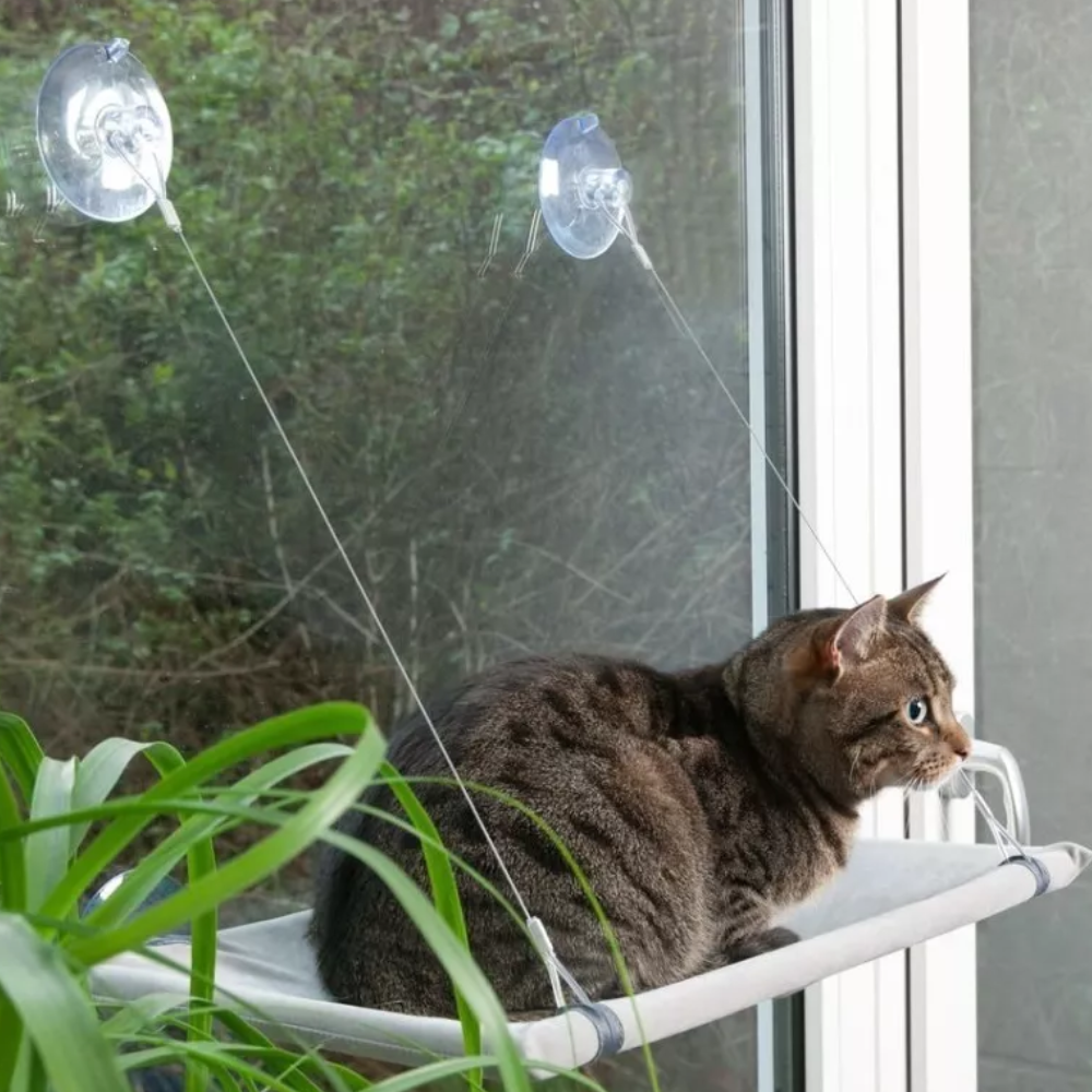 Cama Colgante/Hamaca para Gato para Ventana