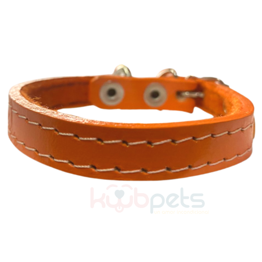 Collar de Piel de Colores
