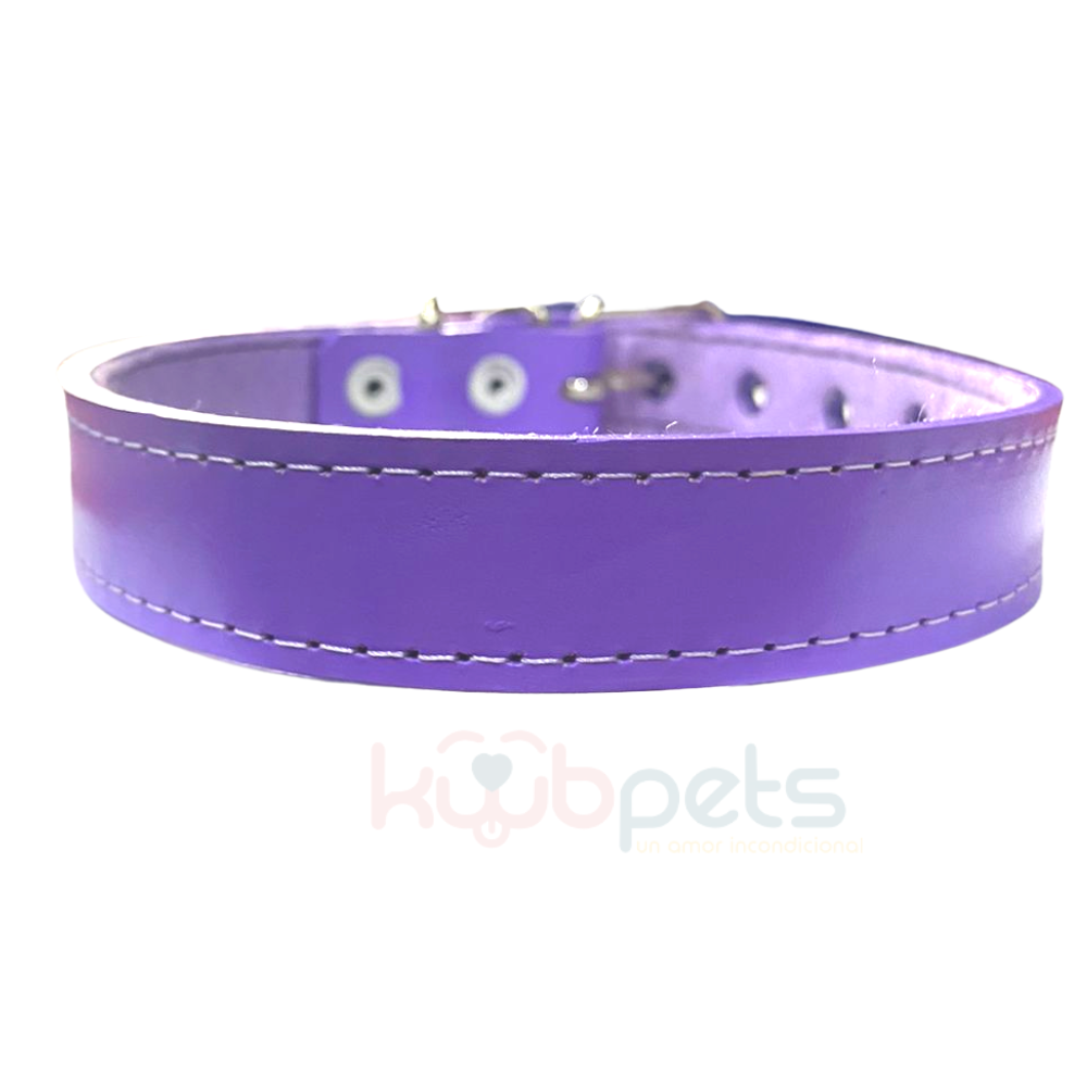 Collar de Piel de Colores
