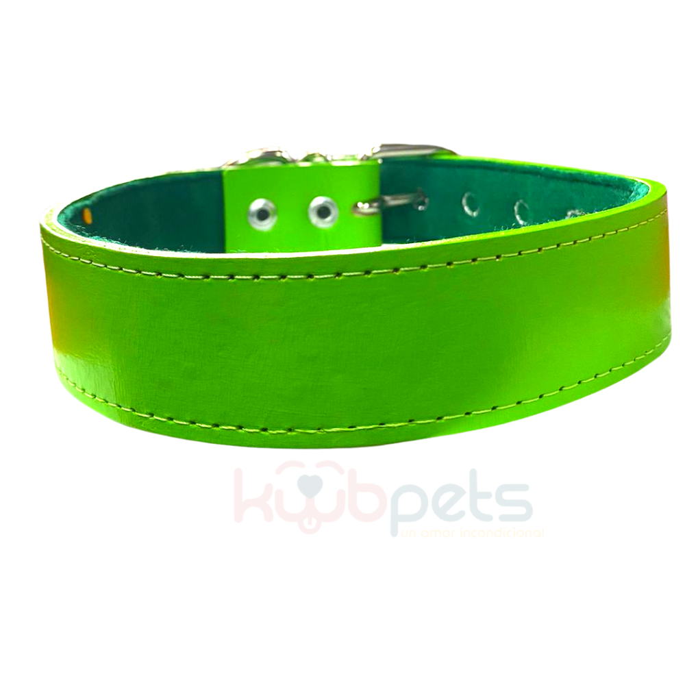 Collar de Piel de Colores