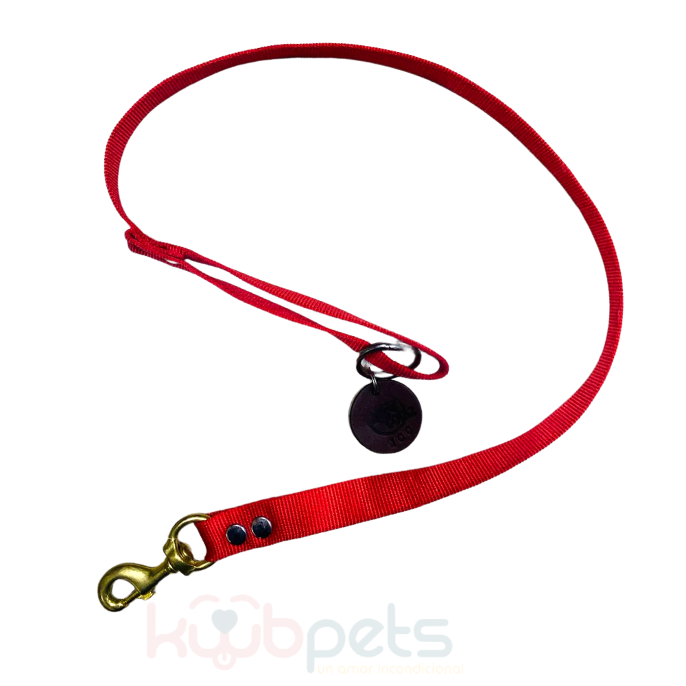 Correa de Nylon con Bandola de Bronce 1.20 mts