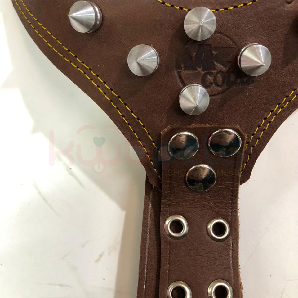 Pechera de Piel Lubricada con Picos