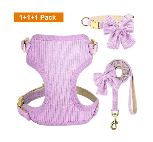 SET PECHERA CON COLLAR, MOÑO Y CORREA COLOR PURPURA