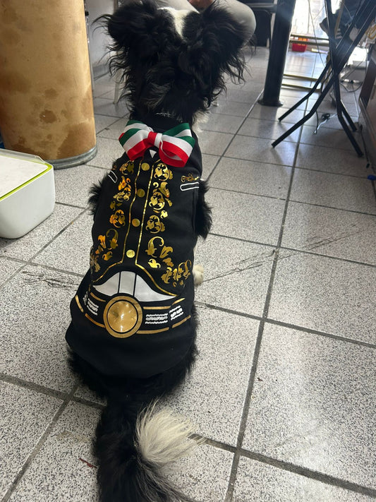 PLAYERA DE CHARRO PARA PERRO