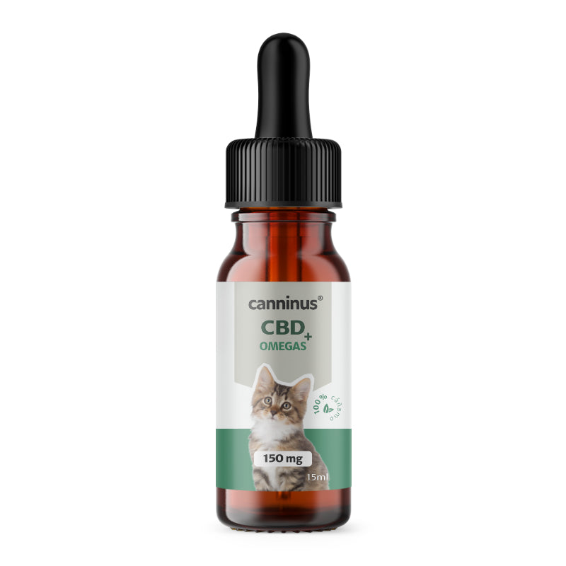 CBD PARA GATOS