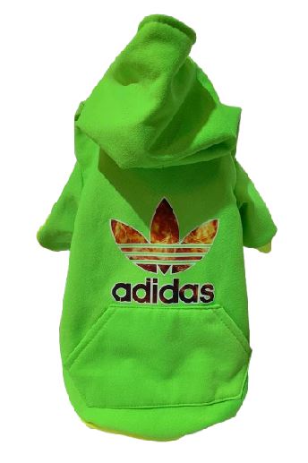 CHAMARRA ADIDAS COLOR VERDE – KUUBPETS