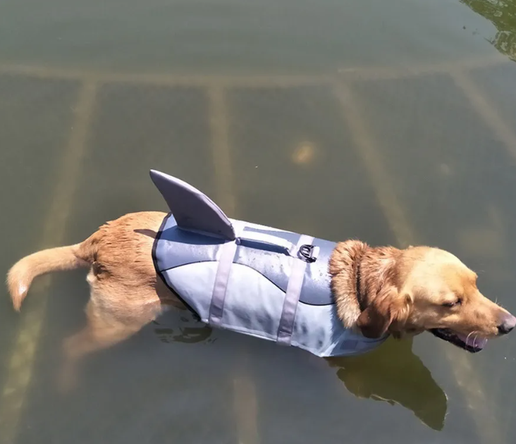 CHALECO SALVAVIDAS PARA PERRO CON DISEÑO DE TIBURÓN - ¡SEGURIDAD Y ESTILO EN EL AGUA!