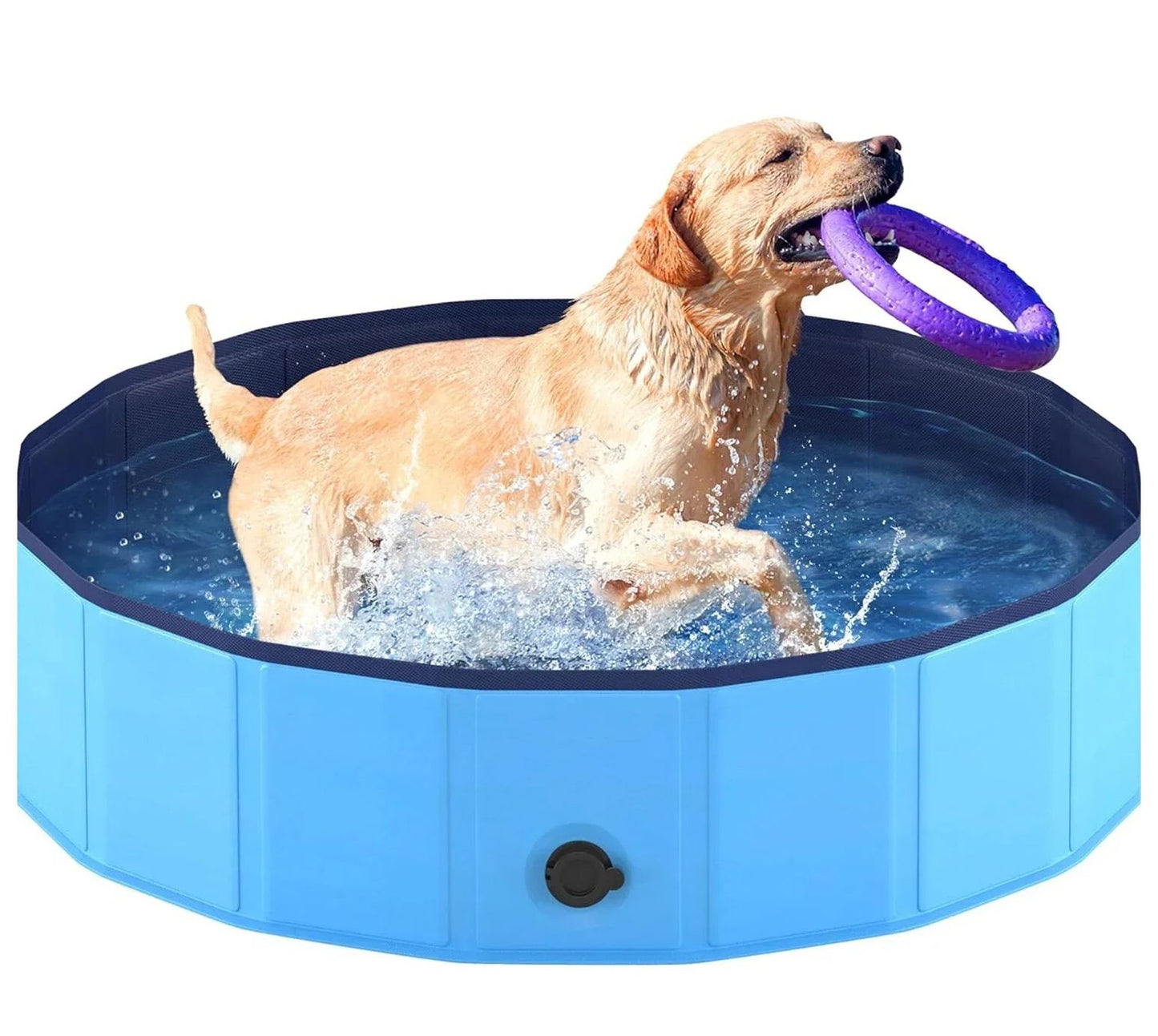 Alberca para Perros Reforzada | Ideal para el Verano y Fácil de Guardar