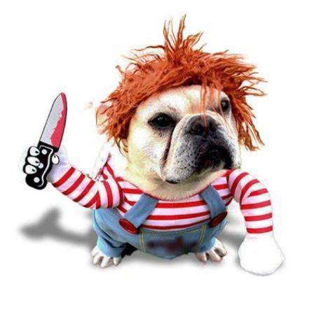 DISFRAZ HALLOWEEN DE CHUCKY PARA MASCOTAS